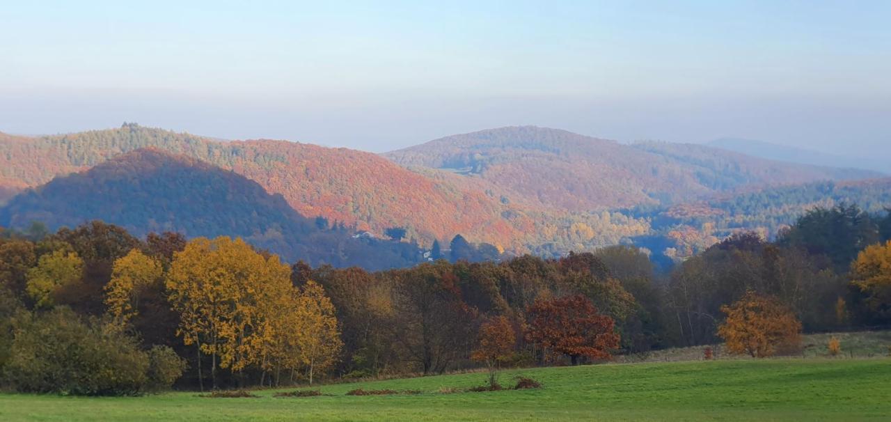 Zum Maerchenwald Apartment Bergfreiheit