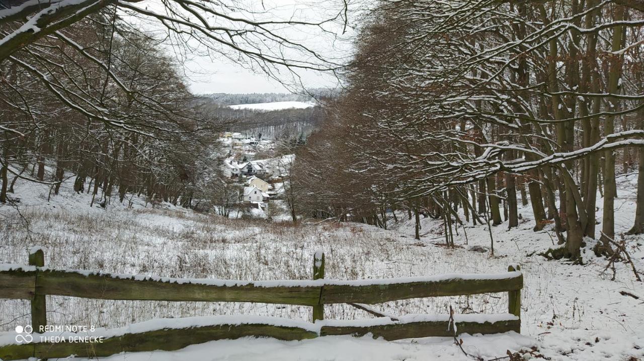 Zum Maerchenwald * Bergfreiheit
