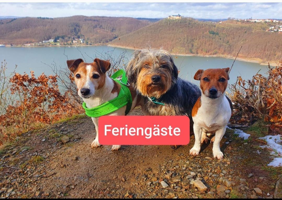 Zum Maerchenwald *