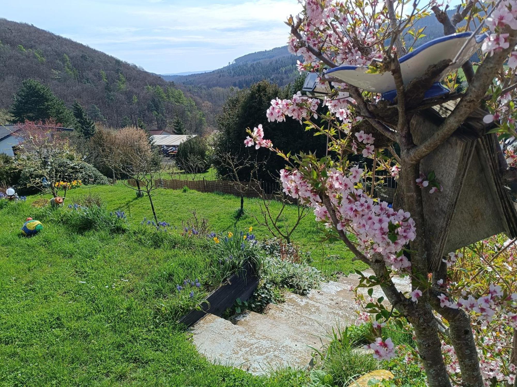 Zum Maerchenwald * Bergfreiheit